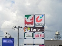 CIMG6308.JPG