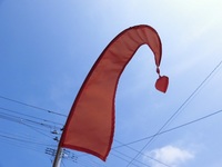 CIMG8343.JPG