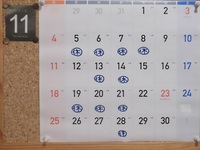CIMG9300.JPG