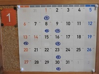 DSCN0128.JPG
