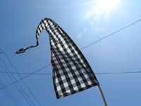 DSCN0729.JPG