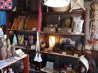 DSCN0733.JPG