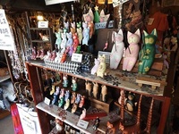 DSCN0928.JPG