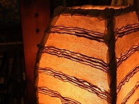 DSCN1133.JPG