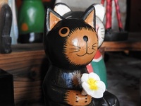 DSCN4064.JPG
