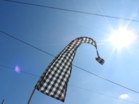DSCN4400.JPG