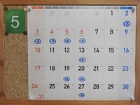 DSCN9532.JPG