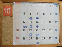 IMG_20200929_143132.jpg