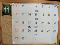IMG_20201026_113413.jpg