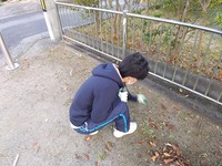 IMG_20201108_065903.jpg