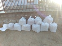 IMG_20201108_072245.jpg