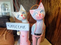 IMG_20201228_111449.jpg
