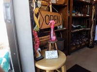 IMG_20210322_111929.jpg