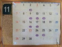 IMG_20211119_113419.jpg