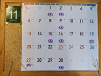 IMG_20221106_133506.jpg