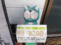 IMG_20230128_111838.jpg