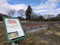 IMG_20230222_143156.jpg
