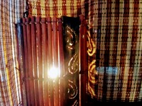 IMG_20230910_144626.jpg