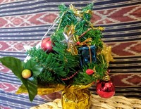 IMG_20231125_111845.jpg