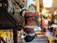 IMG_20231125_111913.jpg