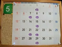 IMG_20240427_145727.jpg