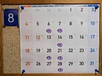 IMG_20240804_074149_652.jpg