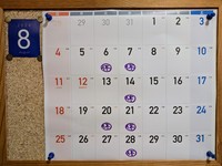 PXL_20240727_063024713~2.jpg