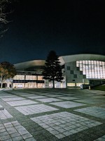 PXL_20241030_103519454~2.jpg
