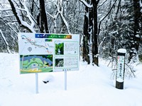 PXL_20250218_053304861~2.jpg