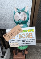 PXL_20250222_020658605.jpg