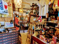 PXL_20250301_045325847~2.jpg