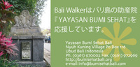yayasan.jpg